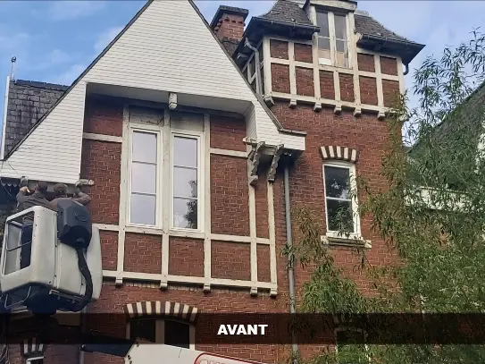 photo_facade_avant_nettoyage